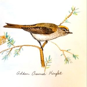 Watercolor bird painting original 7x5